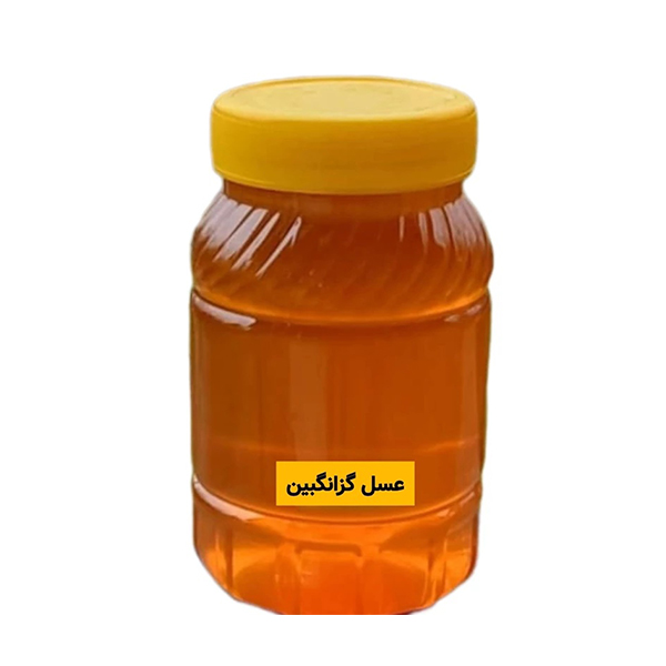 عسل طبیعی گزانگبین سبلان 1 کیلویی